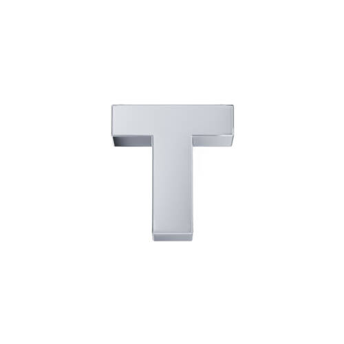 Classic letter T in white gold.