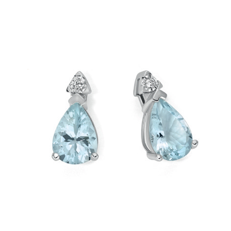 Blumarine Earrings